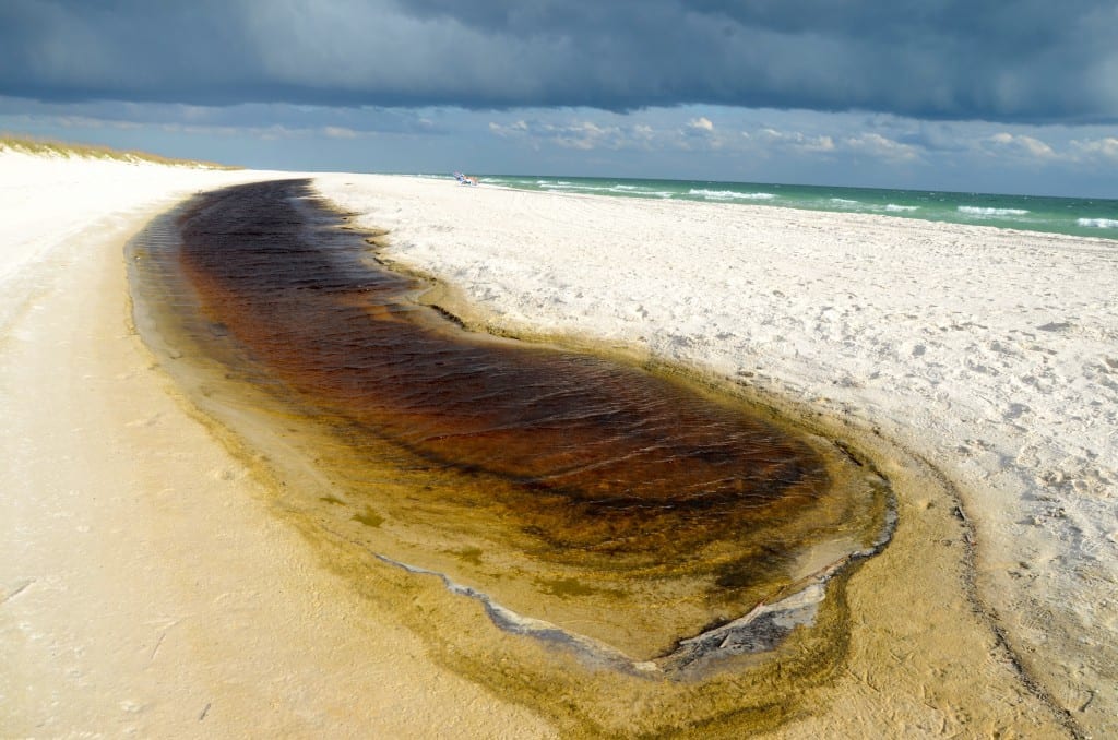 BonSecour Beach3b1 1024x678 - Auburn Scientists Confirm Deadly Bacteria in BP Tar Balls