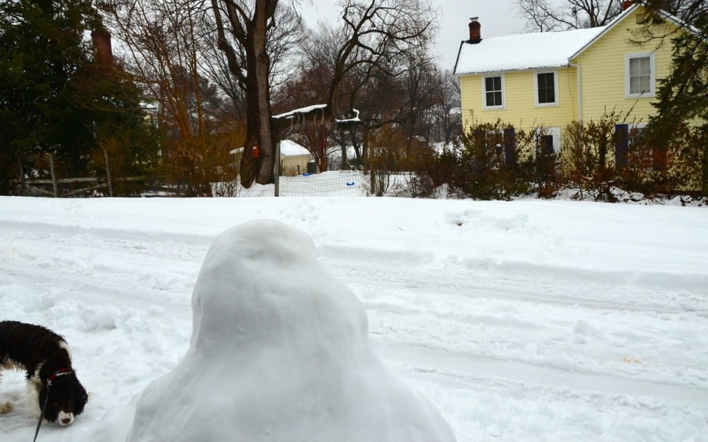 GW DC2014snow4d 1024x639 - A Foot of Snow Blankets East Coast After Hammering the American South