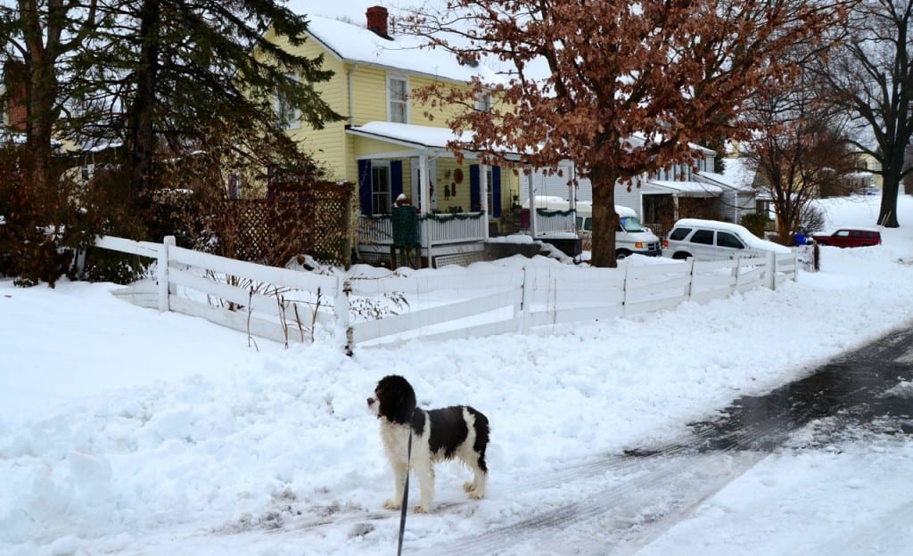 GW DC2014snow6f 1024x624 - A Foot of Snow Blankets East Coast After Hammering the American South