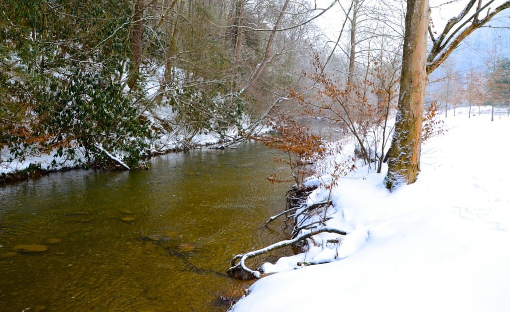 HungryMother snow21514g 1024x627 - Contemplating Hunger and Nature in the Jefferson National Forest