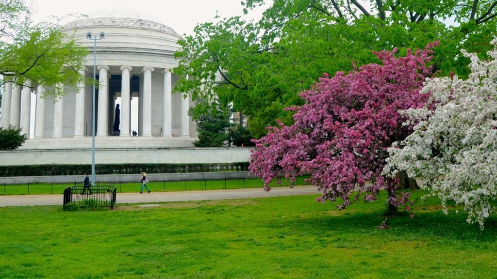 JeffMem CherryB1 1024x576 - April Walking Tour of Washington D.C.