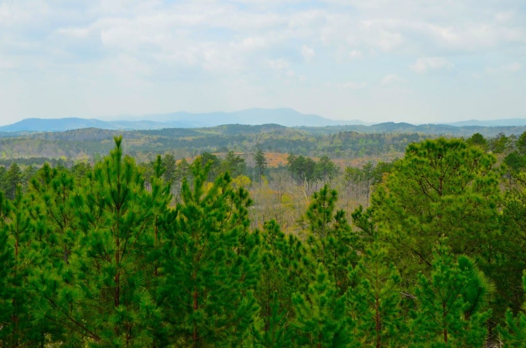 llfrack Cheaha1 1024x678 - Fracking in the Talladega National Forest is Not in the National, State or Local Interest