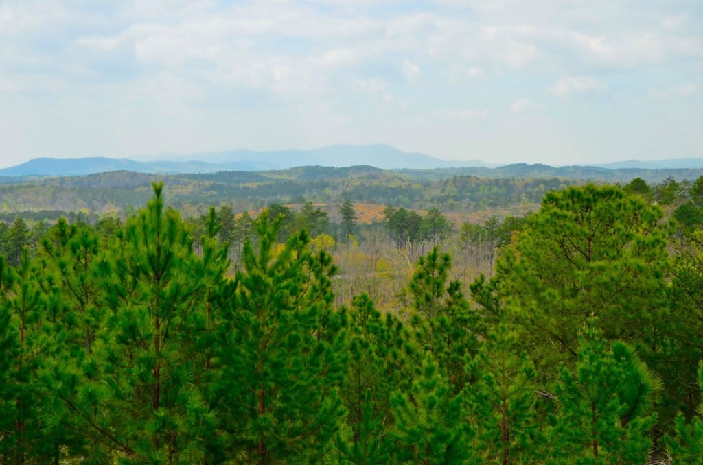 Fracking in the Talladega National Forest is Not in the National, State or Local Interest llfrack Cheaha1 1024x678 - Fracking in the Talladega National Forest is Not in the National, State or Local Interest