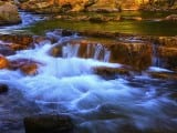 stony creek jefferson national forest jim dohms 160x120 - ED2014_KWilsonArt1a
