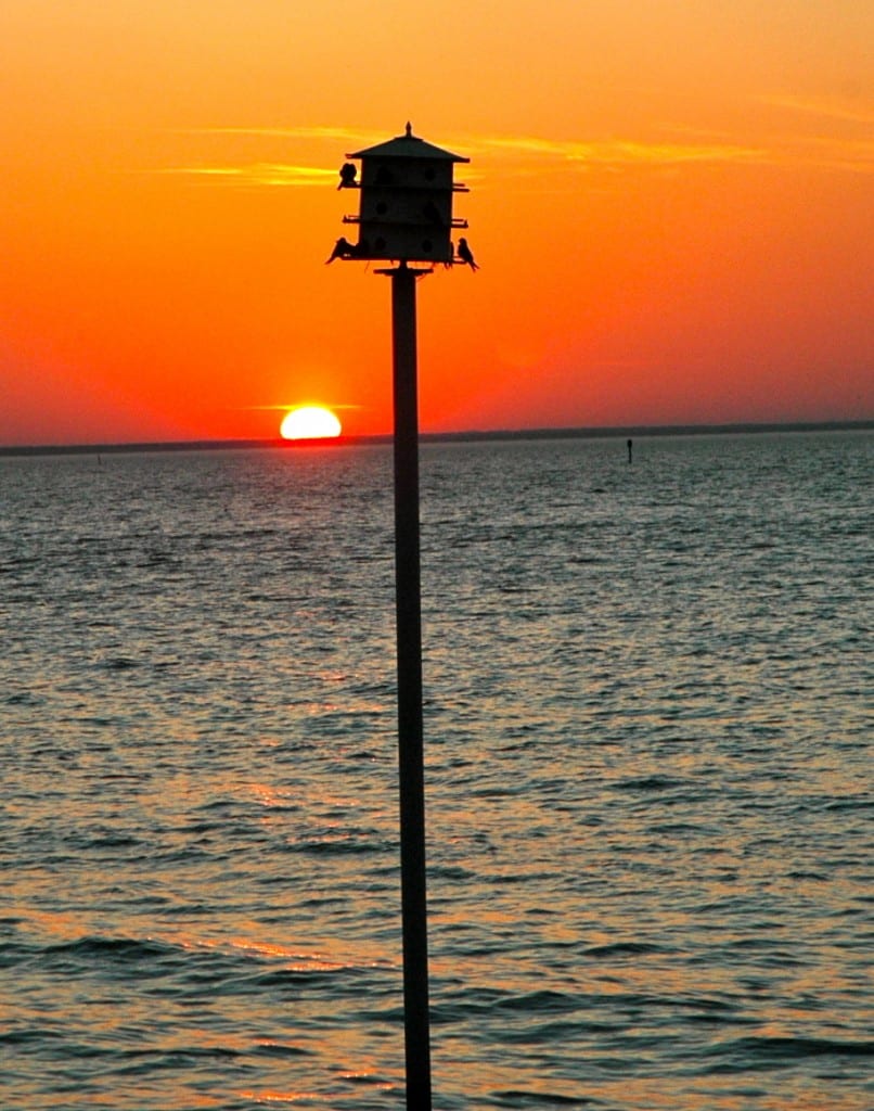 Fairhope Sunset4 19 14a 806x1024 - Images From Mobile Bay in Fairhope on Earth Day 2014