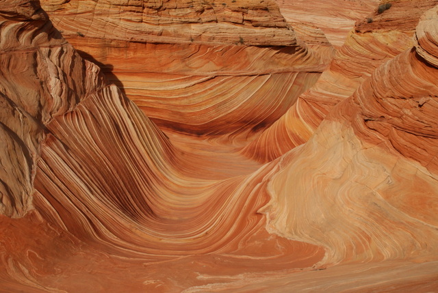 Clearing Up the Hysteria Over Proposed Fees on Public Lands law wave 002 - Clearing Up the Hysteria Over Proposed Fees on Public Lands