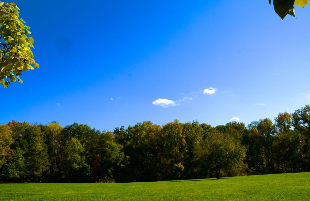 Maryland Autumn1b 1024x664 - Autumn Arrives in Style in a Maryland Park