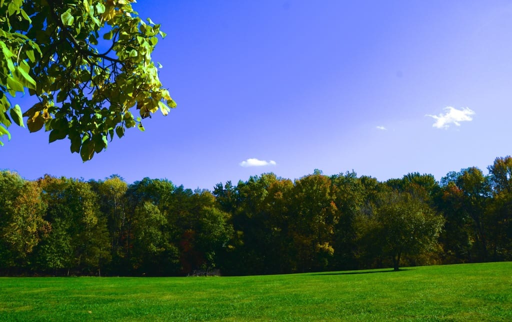 Maryland Autumn1c 1024x644 - Autumn Arrives in Style in a Maryland Park