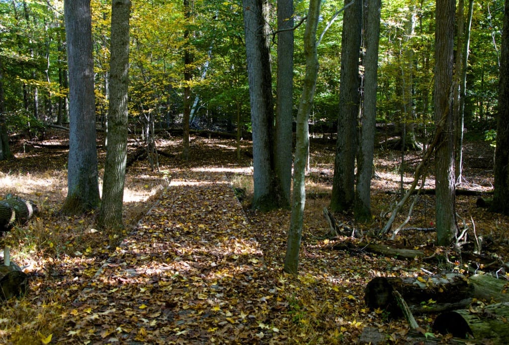 Maryland Autumn1d 1024x694 - Autumn Arrives in Style in a Maryland Park