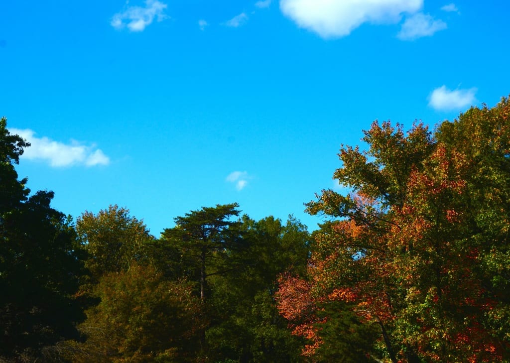 Maryland Autumn1e 1024x729 - Autumn Arrives in Style in a Maryland Park