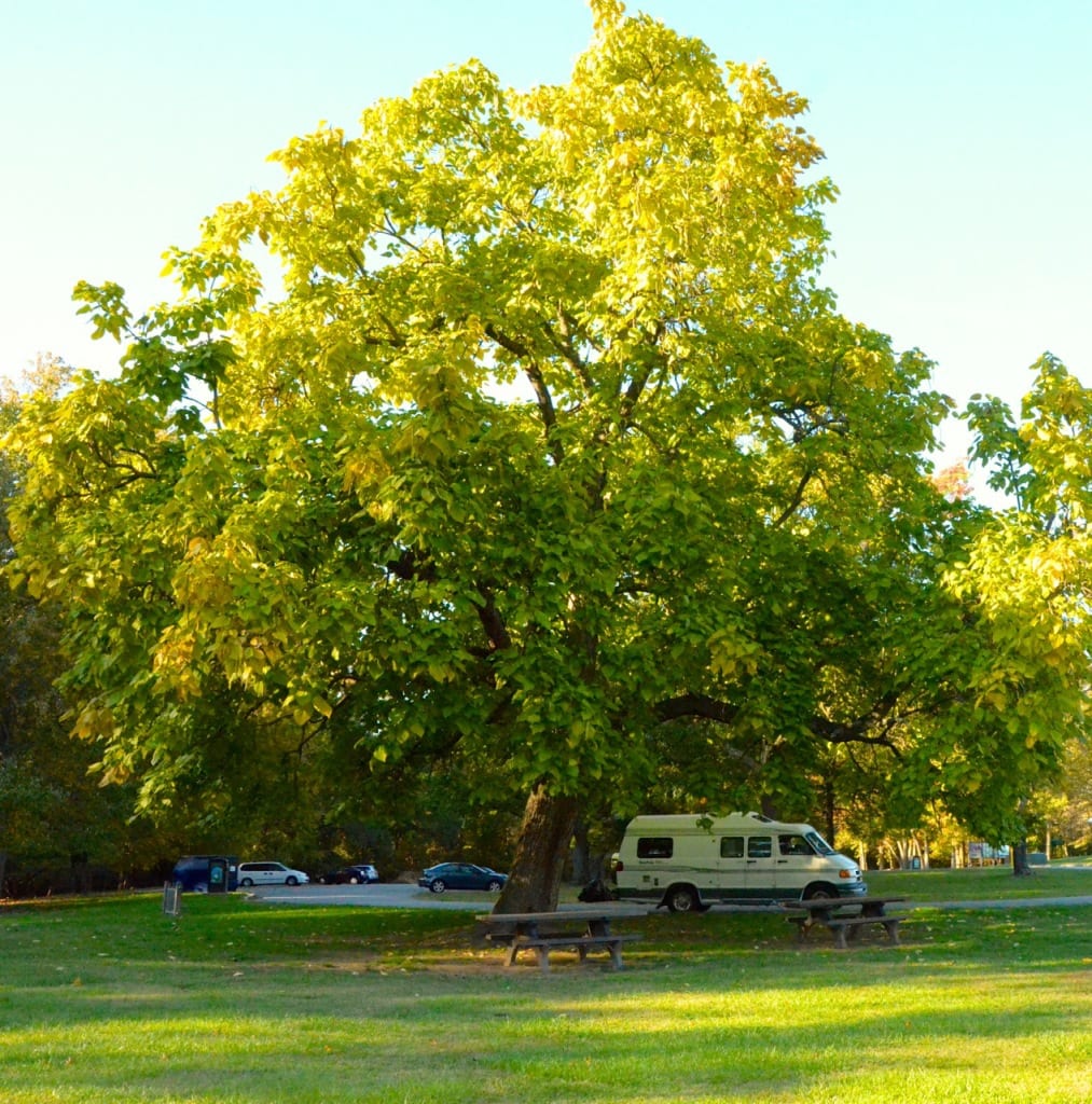 Maryland Autumn1g 1013x1024 - Autumn Arrives in Style in a Maryland Park