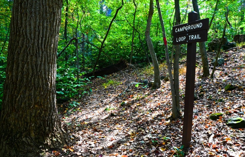 Patapsco campgroundloop trail1 1024x654 - Hiking and Camping at Patapsco Valley State Park, Maryland