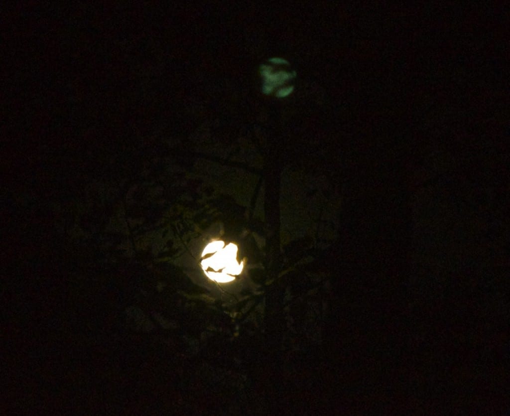 Patapsco moon1 1024x835 - Hiking and Camping at Patapsco Valley State Park, Maryland