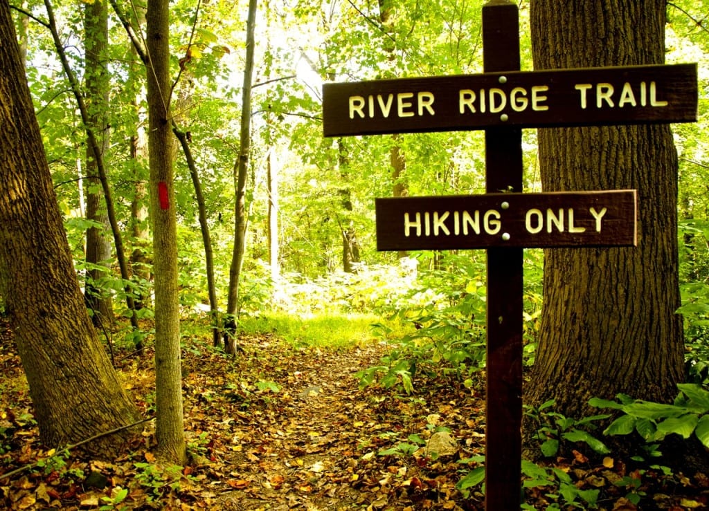 Patapsco riverridge trail1 1024x739 - Hiking and Camping at Patapsco Valley State Park, Maryland