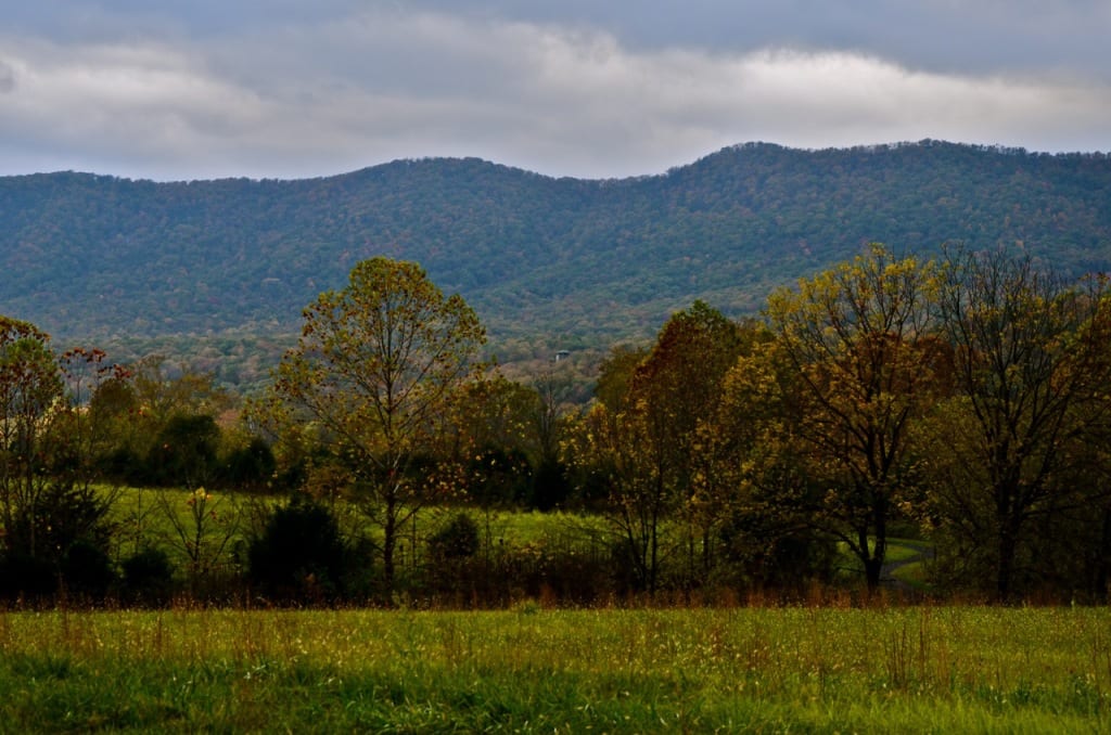 Shenandoah1 1024x678 - Early Autumn Color in the Shenandoah Valley, Virginia