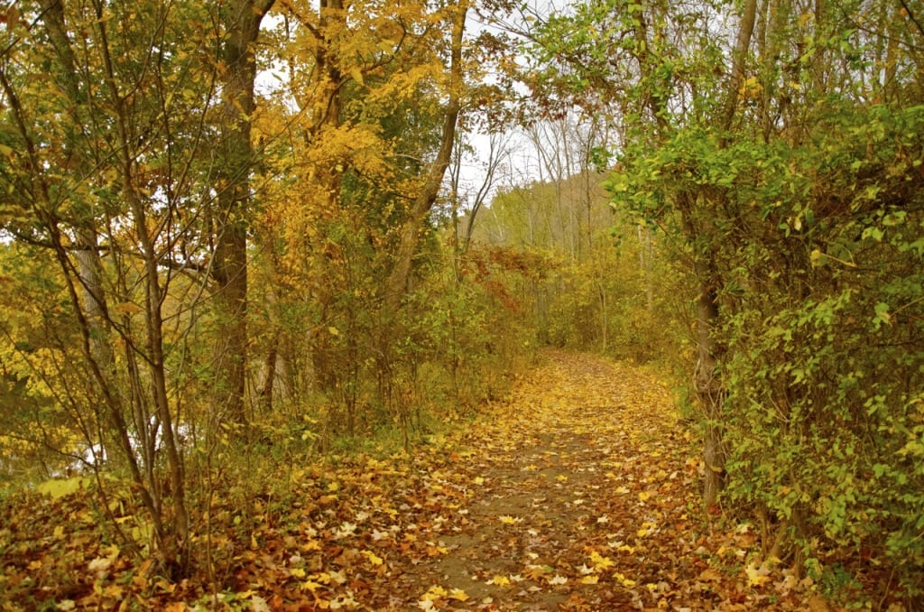 Shenandoah1b 1024x678 - Early Autumn Color in the Shenandoah Valley, Virginia