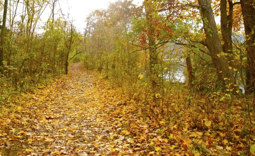 Shenandoah1c 1024x627 - Early Autumn Color in the Shenandoah Valley, Virginia