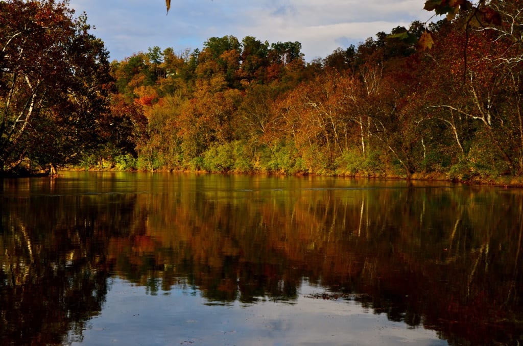 Shenandoah1f 1024x678 - Early Autumn Color in the Shenandoah Valley, Virginia