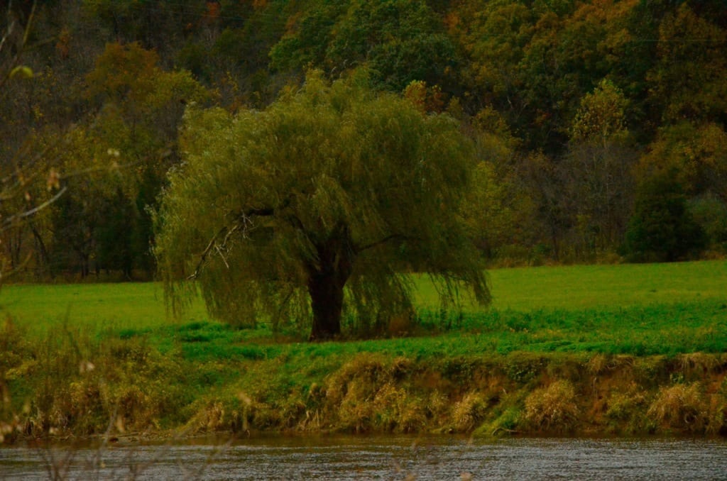 Shenandoah1j 1024x678 - Early Autumn Color in the Shenandoah Valley, Virginia