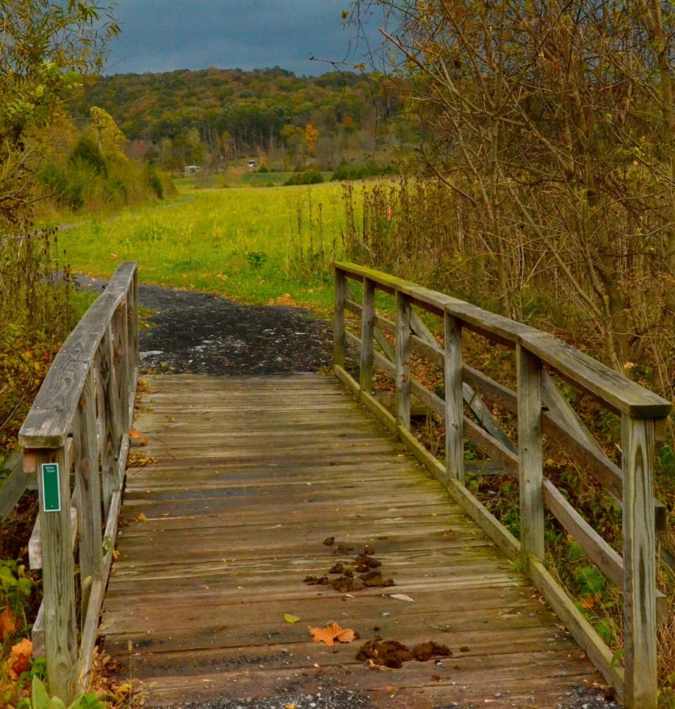 Shenandoah1m 974x1024 - Early Autumn Color in the Shenandoah Valley, Virginia