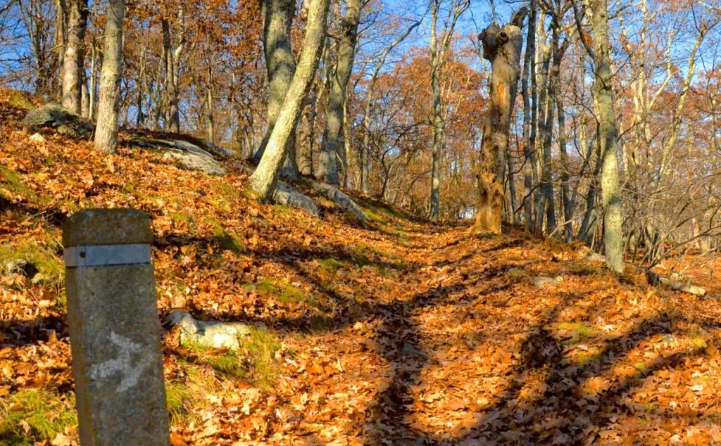 Shenandoah4 AT1a 1024x634 - Camping Along the Appalachian Trail at Big Meadows