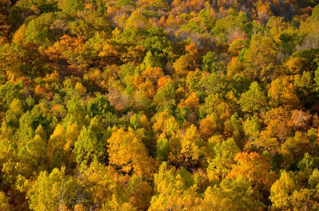 Skyline Drive1d 1024x678 - The Final Weekend of the Fall Season at Mathew's Arm Campground in the Shenandoah National Park