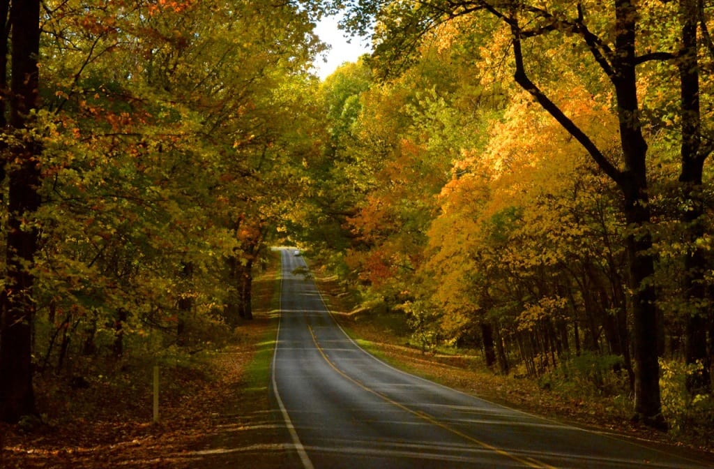 Skyline Drive1e 1024x672 - The Final Weekend of the Fall Season at Mathew's Arm Campground in the Shenandoah National Park