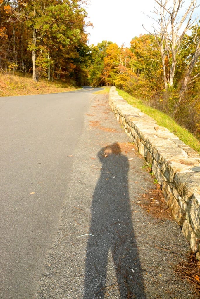 Skyline Shadow1g 684x1024 - The Final Weekend of the Fall Season at Mathew's Arm Campground in the Shenandoah National Park