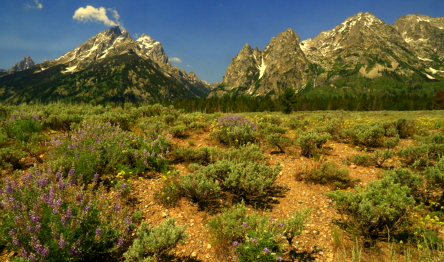 Views of Grand Tetons National Park gt prpl mt use - Views of Grand Tetons National Park