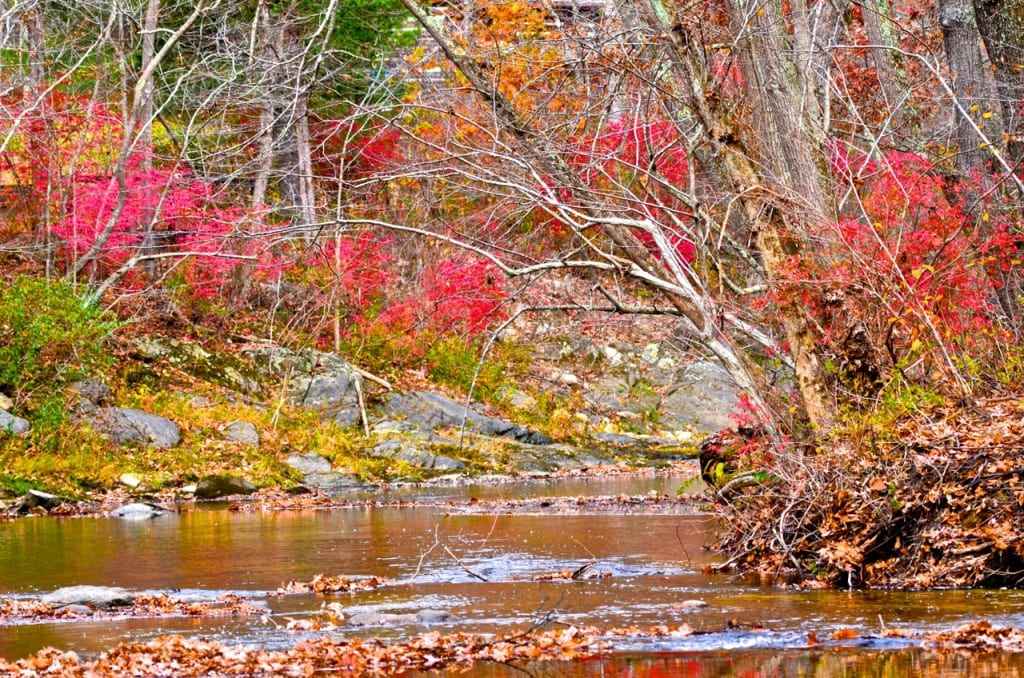 Elizabeth Furnace fishing1b 1024x678 - More Autumn Color from the Virginia Mountains