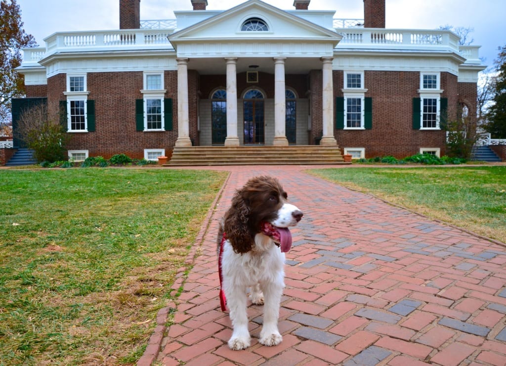 Monticello doghouse1a 1024x740 - The Jefferson Memorial and Legacy at Monticello in Autumn