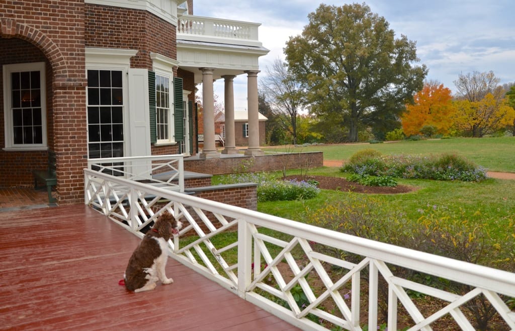 Monticello doghouse1c 1024x659 - The Jefferson Memorial and Legacy at Monticello in Autumn