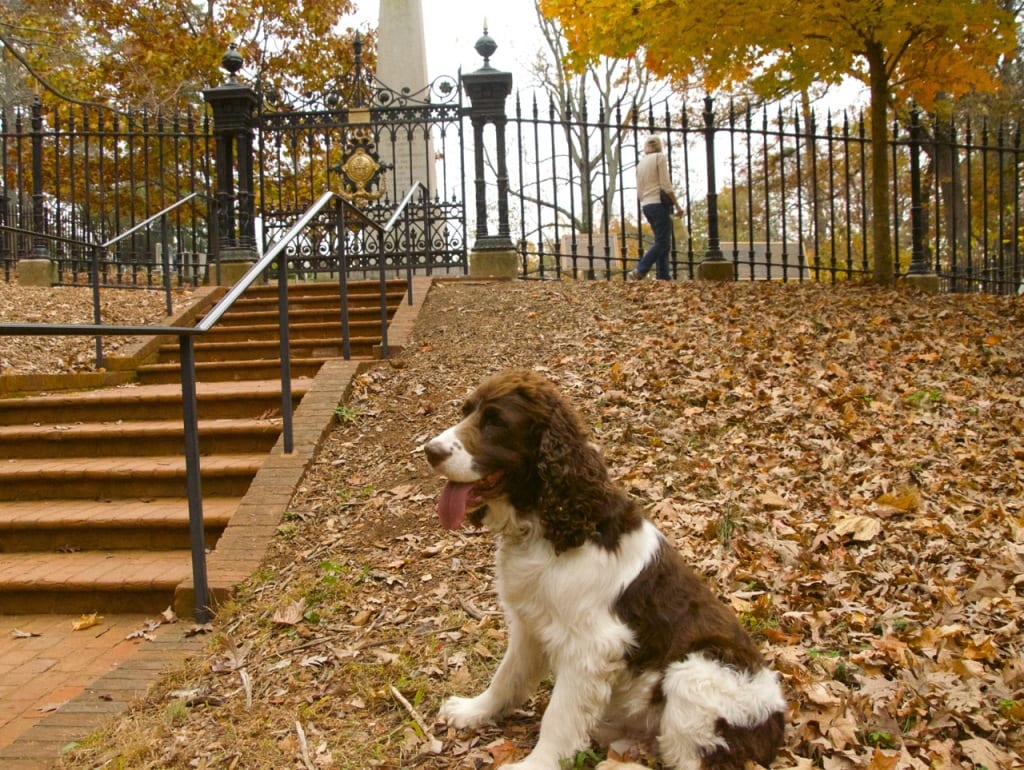 Monticello gravestone1d 1024x770 - The Jefferson Memorial and Legacy at Monticello in Autumn
