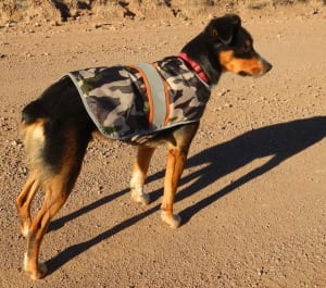 crns cody coat 300x265 - From New Mexico's Festival of the Cranes to Flagstaff