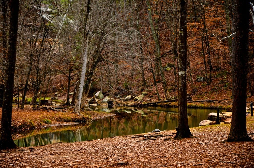 Tannehill creek1 1024x678 - Ducks on the Pond at Tannehill State Park