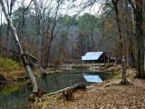 Tannehill_creek1d Tannehill_creek1d