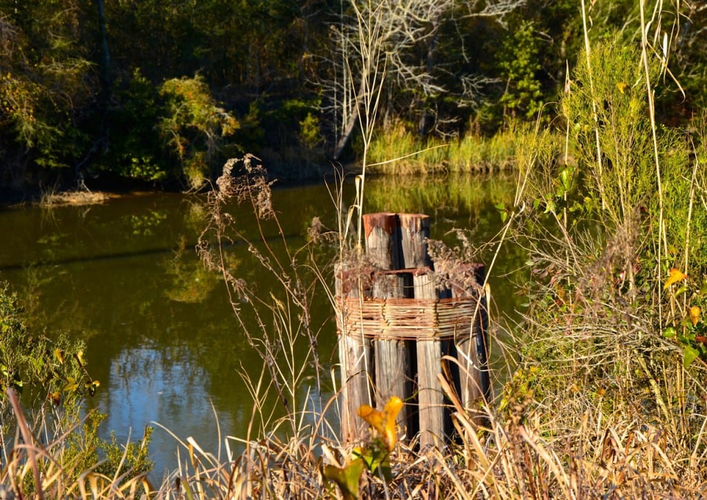 Hog Bayou1d 1024x724 - Mobile Residents Say No to Canadian Tar Sands Crude Oil Tank Farms