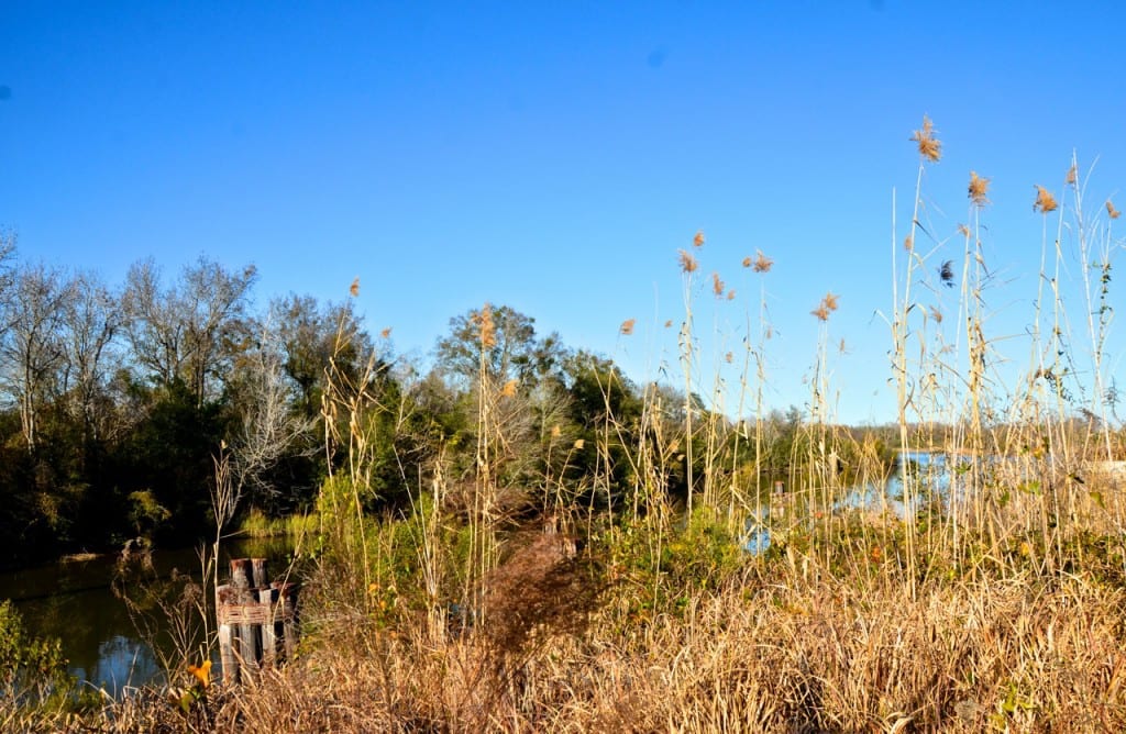 Hog Bayou1e 1024x668 - Mobile Residents Say No to Canadian Tar Sands Crude Oil Tank Farms