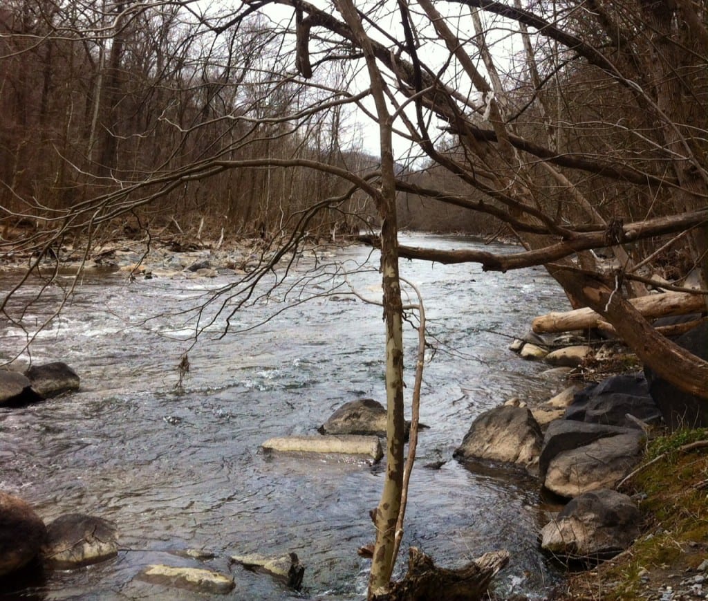 photo 10 1024x869 - Spring Comes to Patapsco Valley State Park