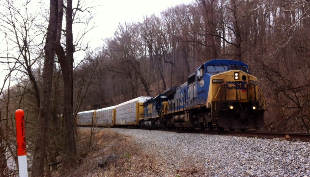 photo 13 1024x587 - Spring Comes to Patapsco Valley State Park