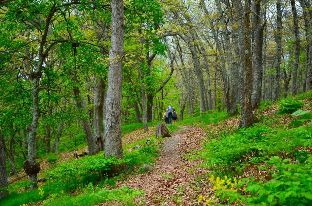 AT BigMeadows1b 1024x678 - An Awesome Responsibility: Respect and Protect Shenandoah