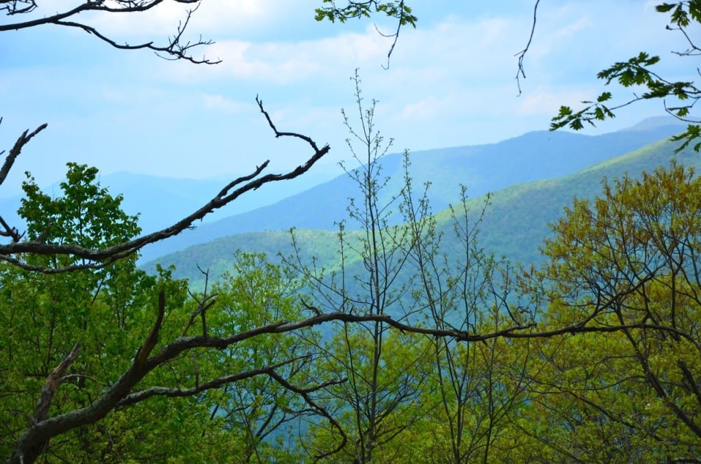 AT BigMeadows1c 1024x678 - An Awesome Responsibility: Respect and Protect Shenandoah