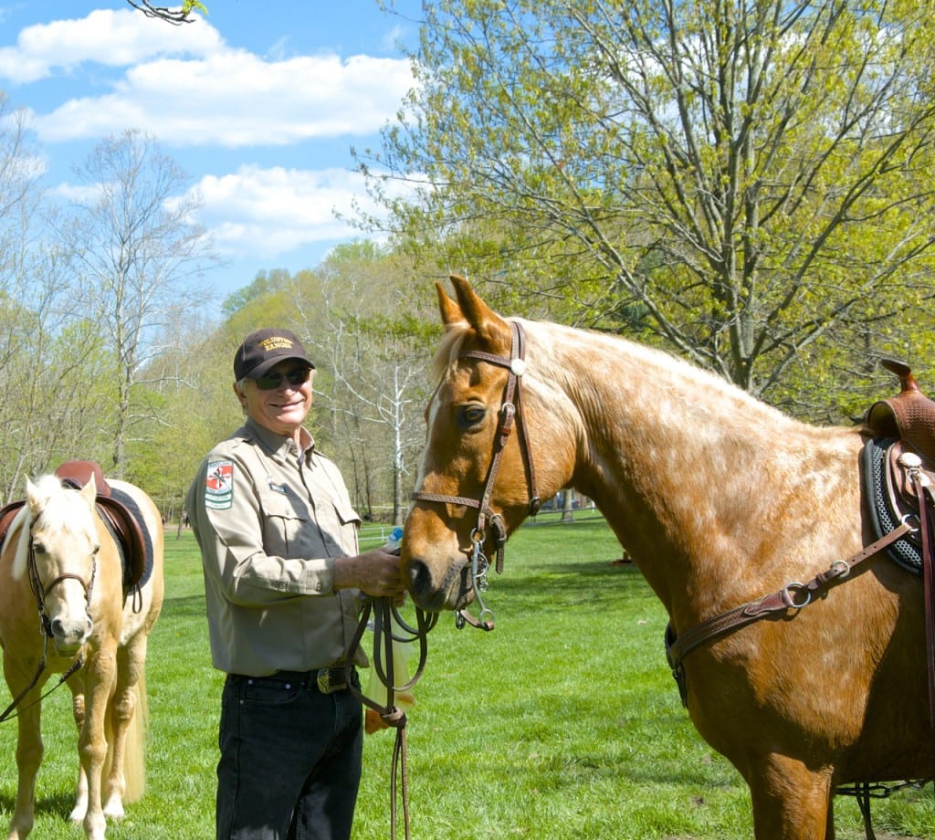 Avalon horses1 1024x920 - Patapsco Valley State Park: An Urban Oasis