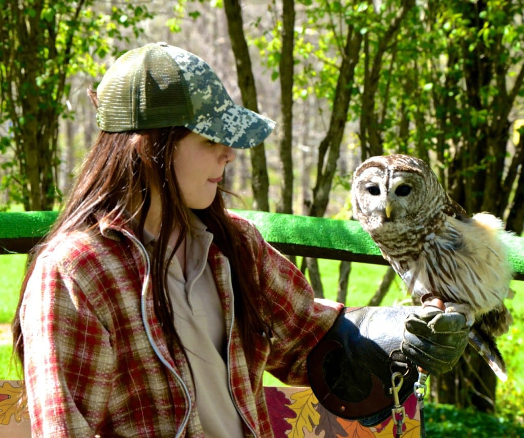 Avalon owl1c 1024x856 - Patapsco Valley State Park: An Urban Oasis