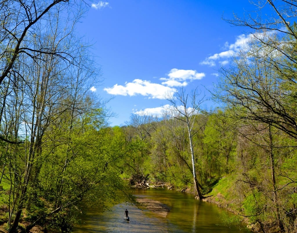 Avalon river1 1024x802 - Plans Move Forward for Removing Bloede's Dam from the Patapsco River