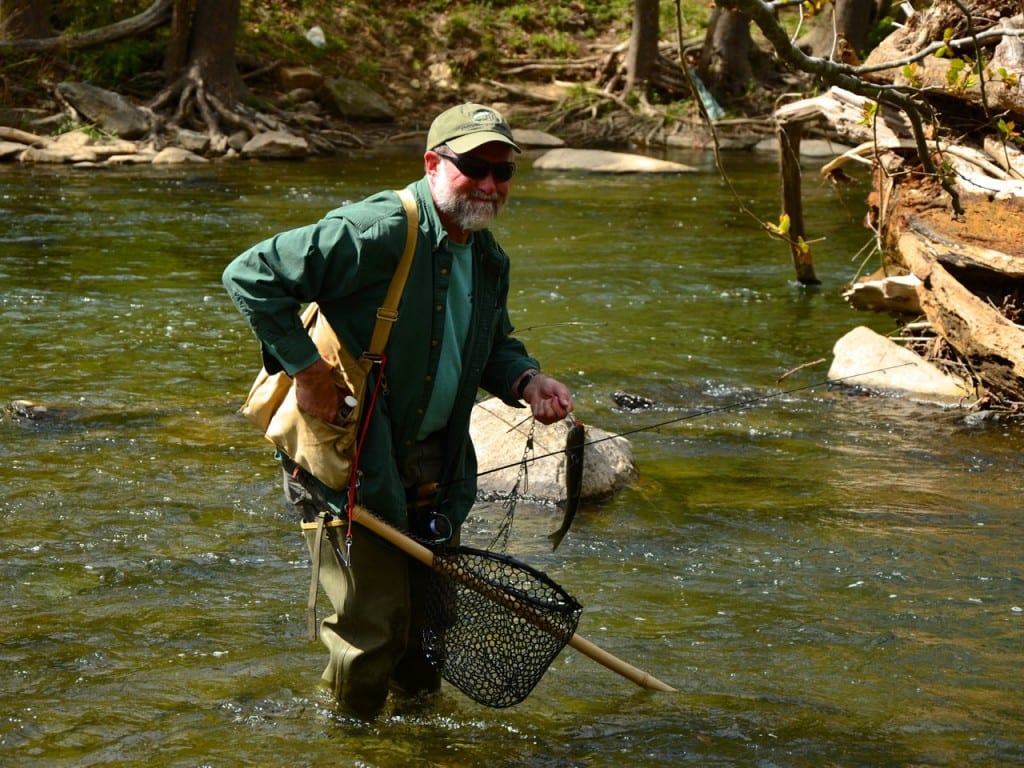 Daniels Dam trout1b 1024x768 - Plans Move Forward for Removing Bloede's Dam from the Patapsco River