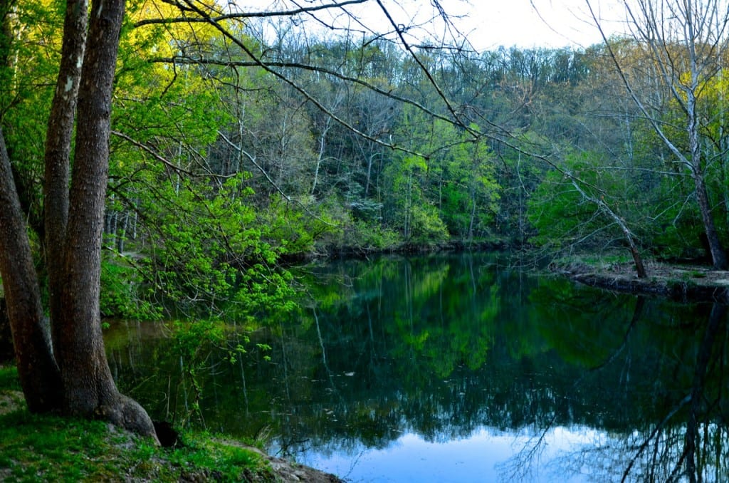 Daniels swim hole1 1024x678 - Patapsco Valley State Park: An Urban Oasis