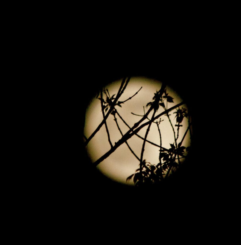 Full Corn Planting Moon in Maryland New American Journal