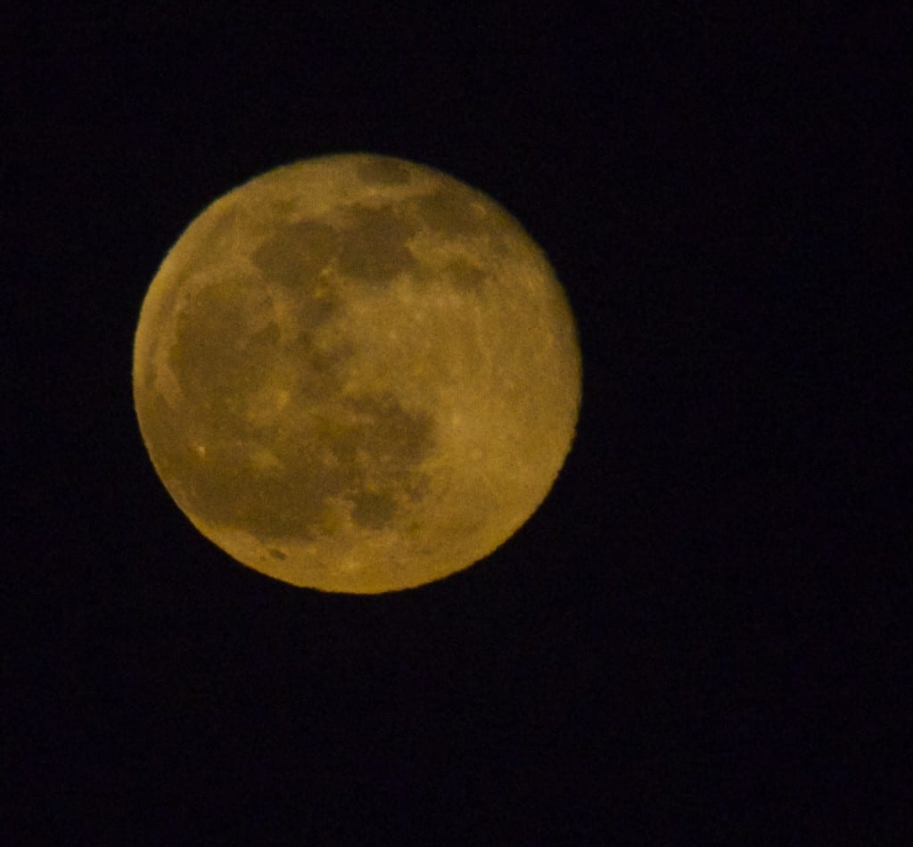 Full Moon may2015g 1024x950 - Full Corn Planting Moon in Maryland