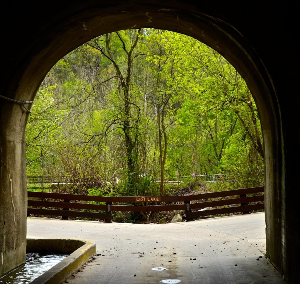 Lost Lake bridge1 1024x972 - Patapsco Valley State Park: An Urban Oasis